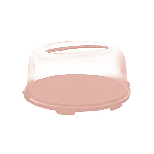 Rotho 1722602089 Fresh High Cake Dome con coperchio e maniglia per il trasporto, plastica, rosa/trasparente