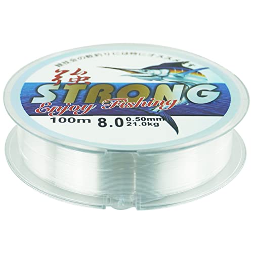 100 metri di lenza, 0,5 mm monofilamento in nylon trasparente lenza da pesca con filo di tensione forte