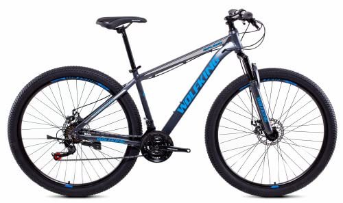 Bicystar WOLFKING MTB 29' Grigio/Azzurro, Mountain Bike Unisex Adulto