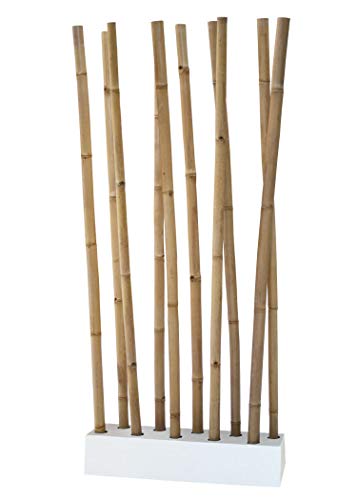 LioLiving Divisorio in bambù (naturale/bianco), divisorio per la privacy, divisorio in vera canna di bambù, altezza oltre 2 metri, decorazione per la casa, divisorio moderno