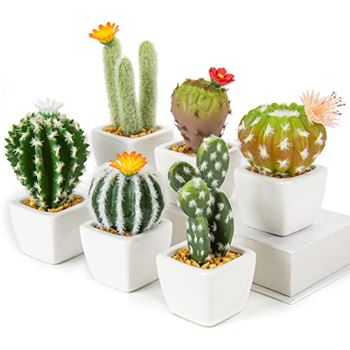 Set di 6 mini piante finte di cactus artificiali in vasi di ceramica bianca assortiti piante grasse artificiali decorative cactus finti per cucina, bagno, scrivania, libreria, decorazione per interni